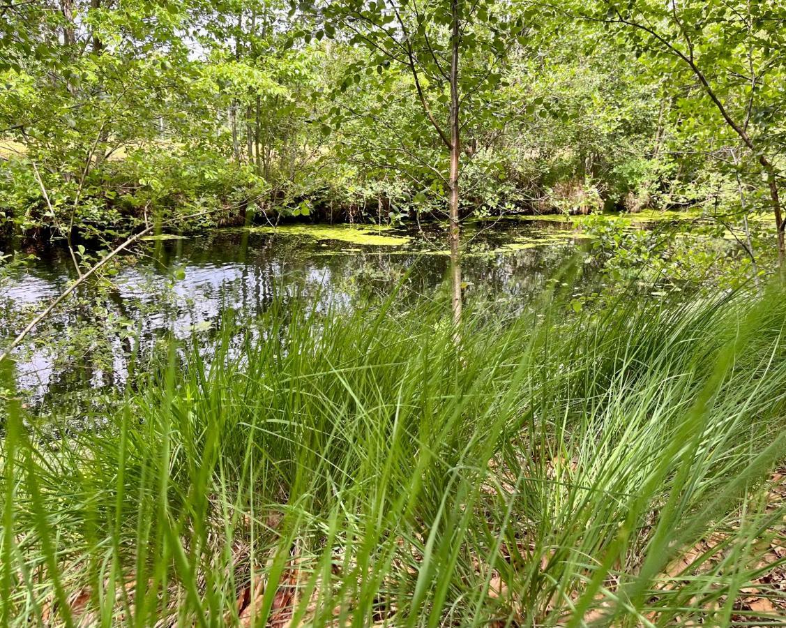 Landzicht Natuur Rust En Ruimte Oosterwolde  Eksteriør bilde