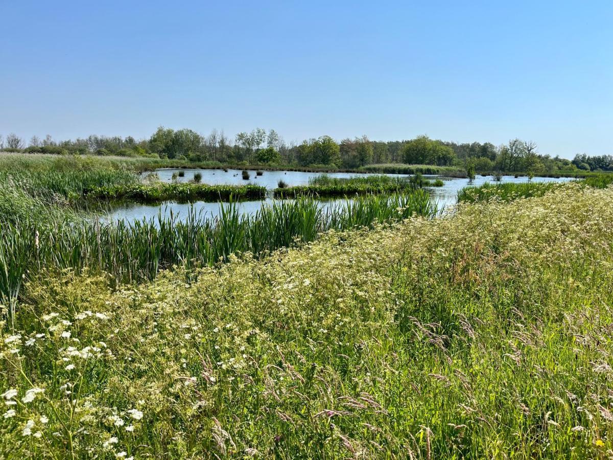 Landzicht Natuur Rust En Ruimte Oosterwolde  Eksteriør bilde