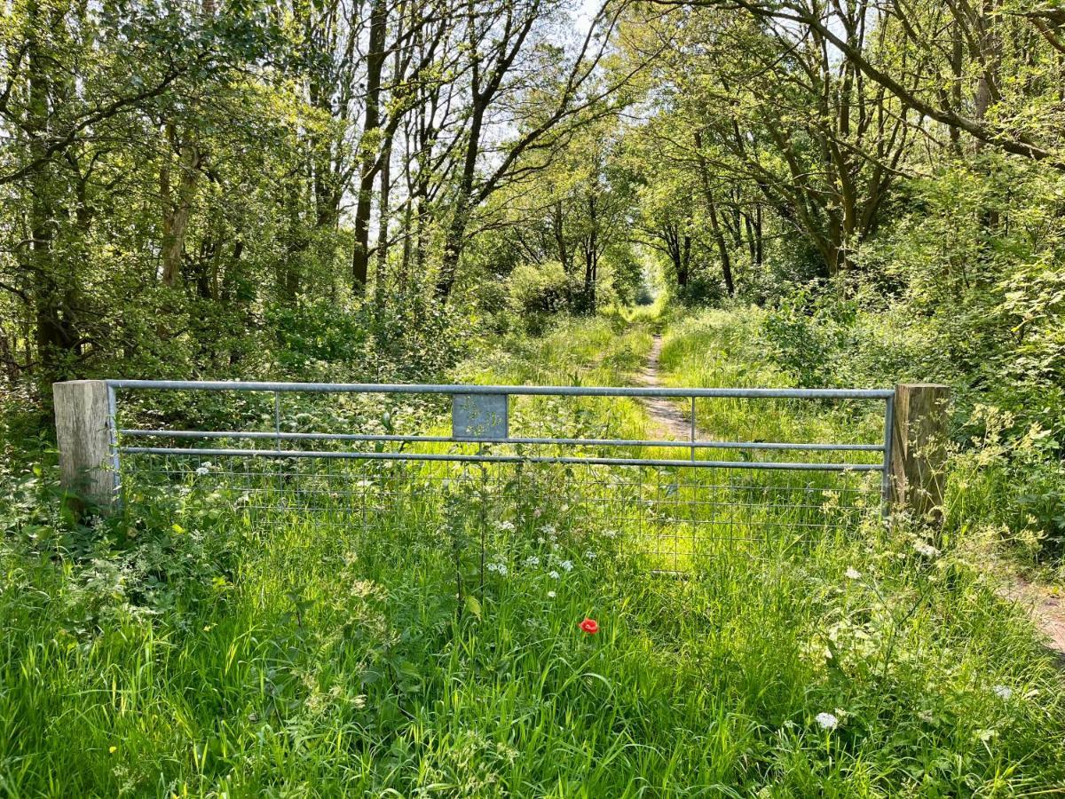 Landzicht Natuur Rust En Ruimte Oosterwolde  Eksteriør bilde
