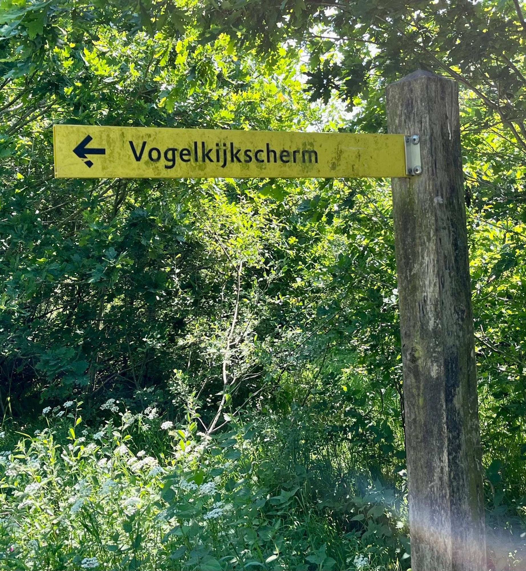 Landzicht Natuur Rust En Ruimte Oosterwolde  Eksteriør bilde