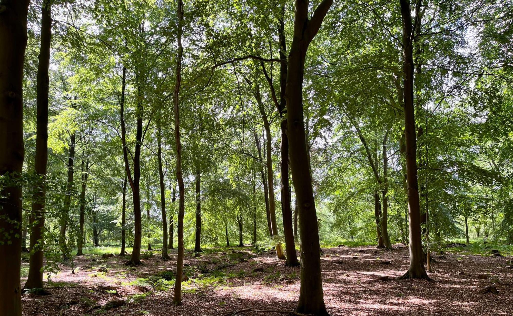 Landzicht Natuur Rust En Ruimte Oosterwolde  Eksteriør bilde