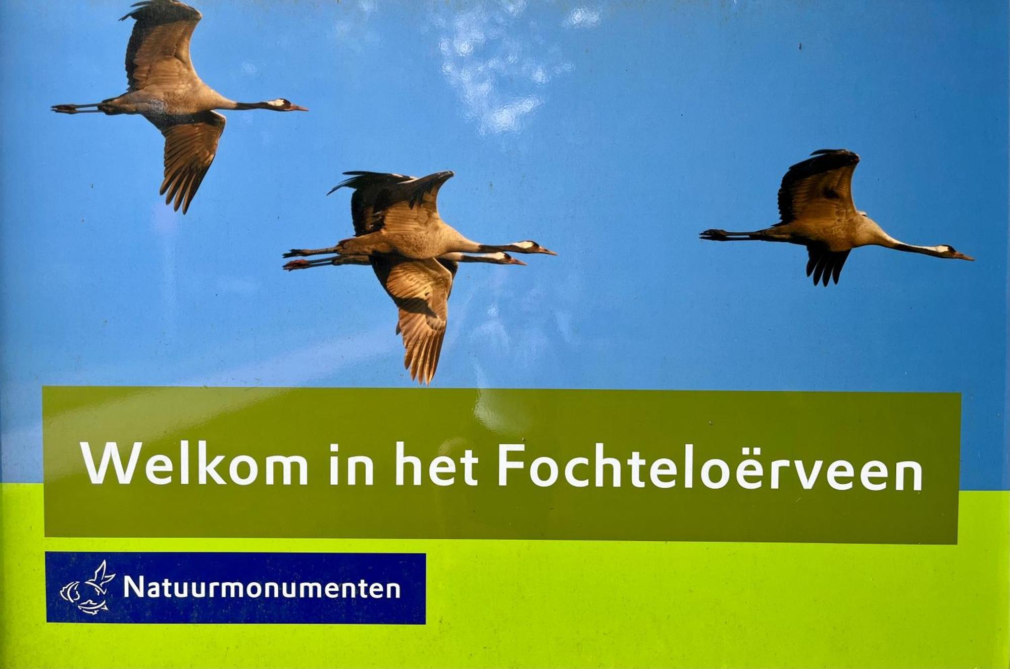 Landzicht Natuur Rust En Ruimte Oosterwolde  Eksteriør bilde